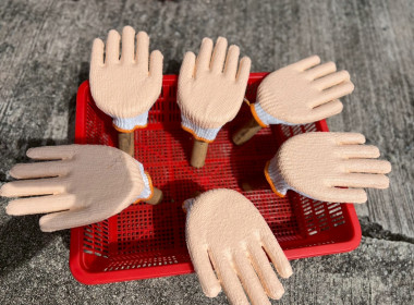 เข้าร่วมสังเกตการณ์ อบรมเชิงปฎิบัติการ ... พารามิเตอร์รูปภาพ 21